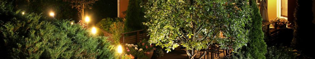 Hummell Brothers Outdoor Lights | Hummell Brothers outdoor lighting with trees in background